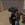 5.webp