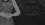 444.webp