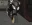 1786477179977.webp