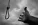 i (13).webp