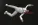 1786713021613.webp