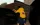 1786807360075.webp