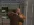 1786880921892.webp