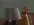 1786880963730.webp
