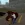 2026-08-14-12-07-28.webp