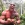 1787336732332.webp