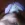 50d3773b-28d4-48b7-88d7-8ea460460aa8.webp