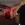 2026-08-28-19-27-27.webp