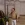 2026-08-29-00-16-28.webp