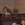 2026-08-29-19-51-19.webp