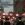 2026-08-29-21-12-47.webp
