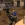konvertus_2.webp