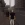 2026-09-01-20-09-06.webp