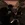 2026-09-01-22-51-03.webp