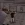 2026-09-03-02-32-37.webp