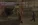 bb3.webp