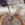 2026-09-05-19-12-59.webp