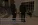 фф1.webp