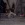 1788725090264.webp