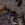 1788725141973.webp