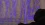 14.webp