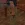 4.webp