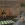 2026-09-09-01-19-37.webp