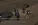 йй11.webp