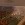 15.webp