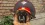 1789124647729.webp