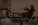 гг4.webp