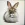 i (1).webp