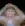 1789326257708.webp