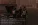 кк13.webp