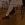 5.webp