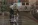 щщ4.webp