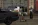 щщ6.webp