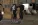 щщ16.webp