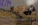 щщ21.webp