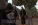 щщ33.webp