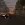 5.webp