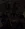 sh4.webp
