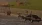 4.webp