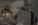 я12.webp