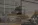 я20.webp