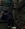 b1.webp