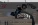 д1.webp