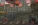 ч11.webp