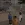 2026-09-29-17-44-37.webp