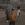 2026-09-29-17-47-58.webp